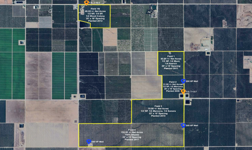 889.19 Acres of Almonds in San Joaquin portfolio of 3 properties for sale on LoopNet.com - Building Photo - Image 1 of 3