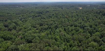 2229 McDaniel Mill Rd SW, Conyers, GA - aerial  map view - Image1