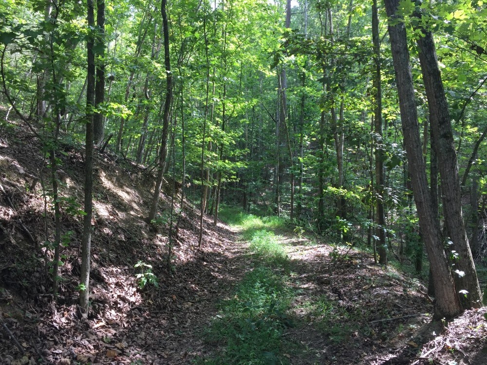 0 Hackler Gap Rd, Kingston, TN for sale Building Photo- Image 1 of 1