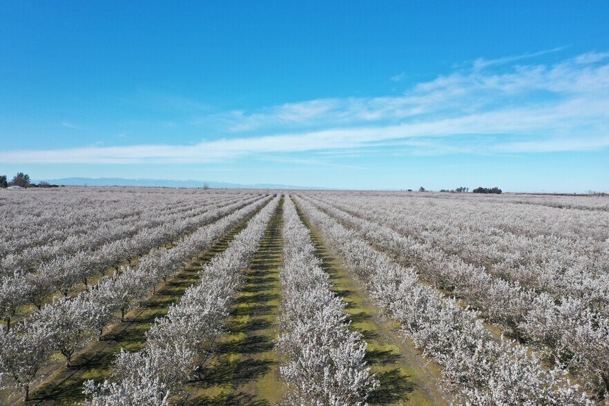 W. Clarkson Ave, Caruthers, CA for sale - Primary Photo - Image 1 of 1