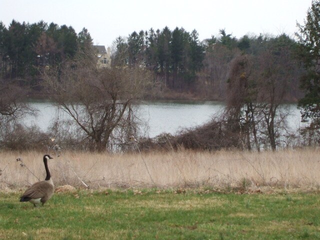 View Photo