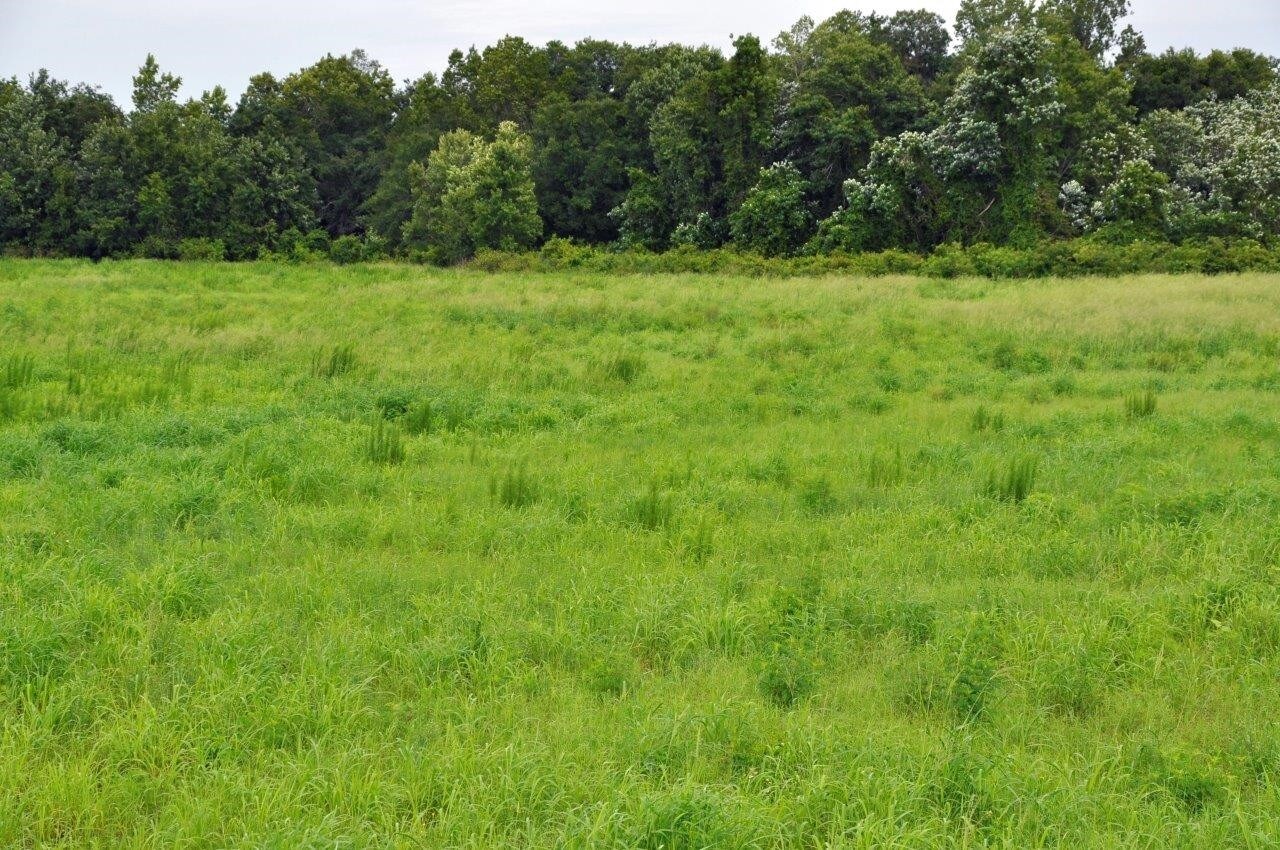 Hirst Rd, Zolfo Springs, FL for sale Building Photo- Image 1 of 1