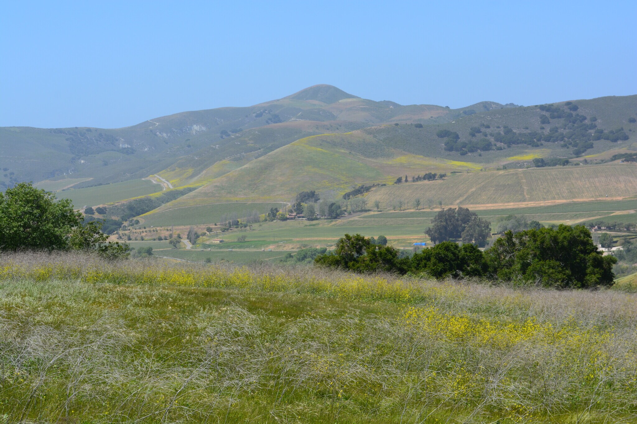 6550 Santa Rosa Rd, Buellton, CA for sale Aerial- Image 1 of 1