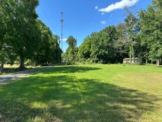 More details for 10397 Cassle Rd, Denham Springs, LA - Land for Sale