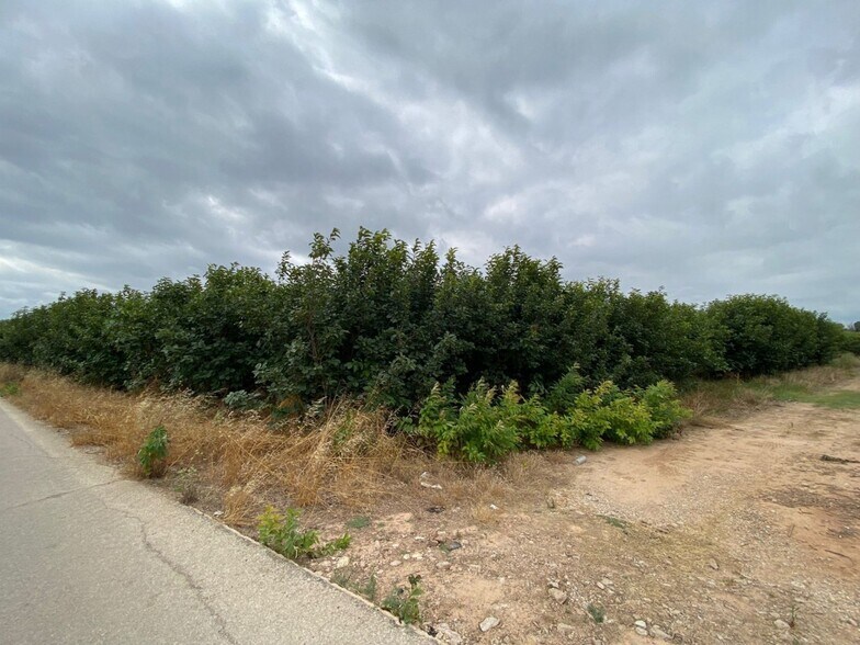 Land in València for sale - Building Photo - Image 3 of 7