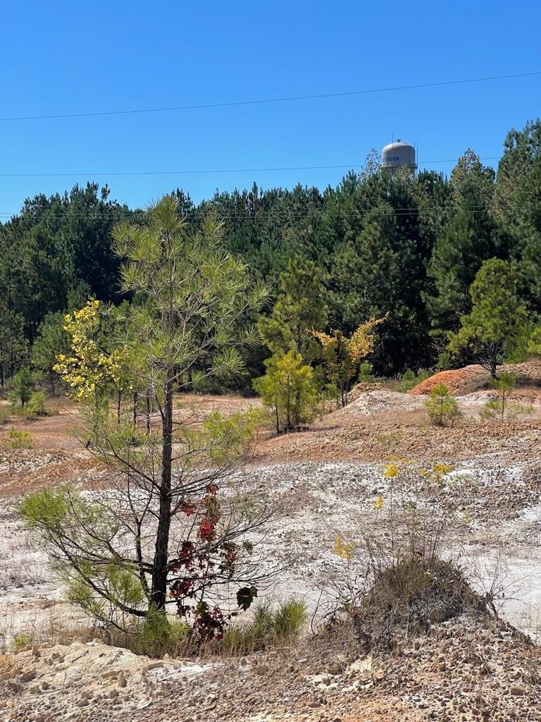 0000 Veterans Drive & 22 North, Huntingdon, TN for sale Primary Photo- Image 1 of 7