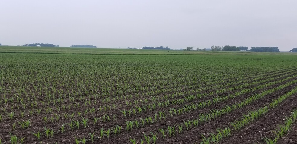 0 330th Ave 0 330th Ave, Westbrook, MN for sale - Other - Image 1 of 3