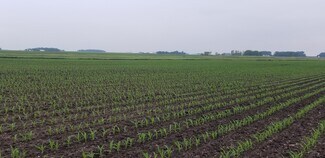 More details for 0 330th Ave 0 330th Ave, Westbrook, MN - Land for Sale