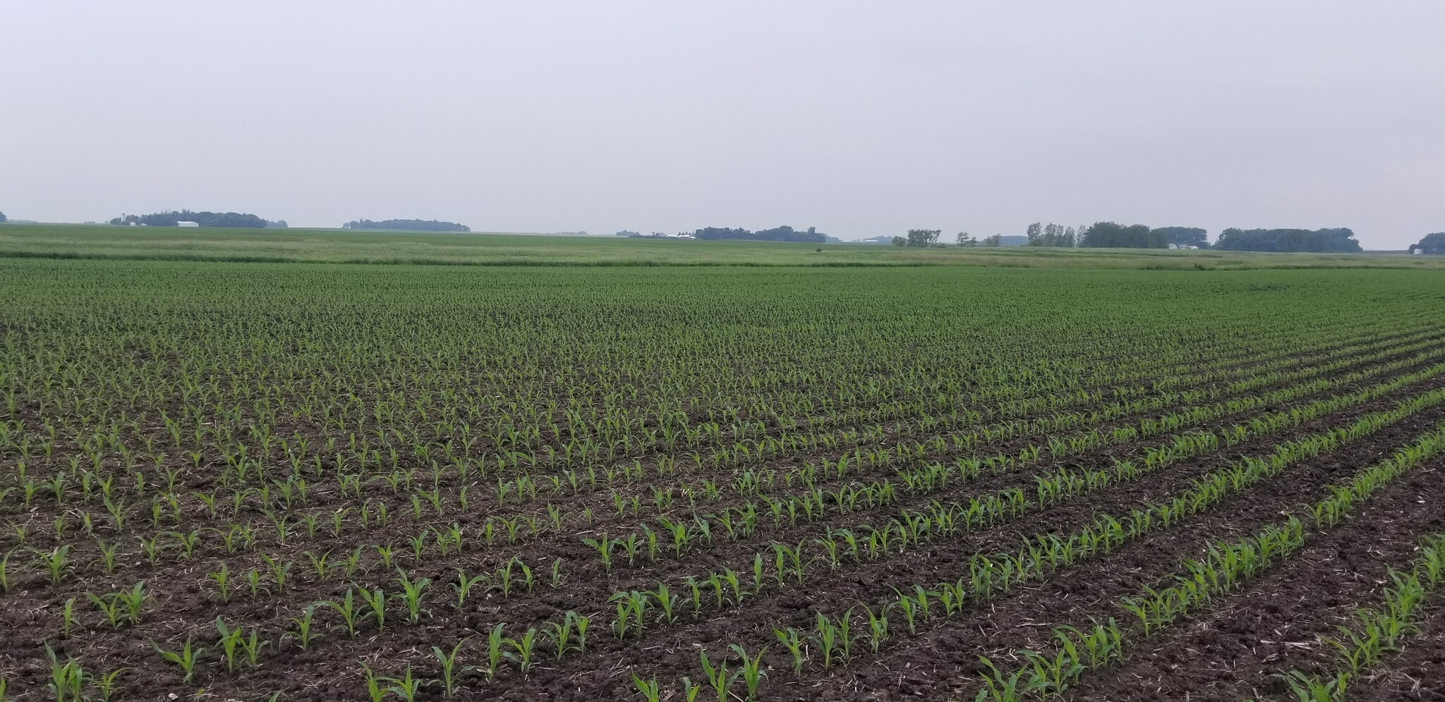 0 330th Ave 0 330th Ave, Westbrook, MN for sale Other- Image 1 of 4