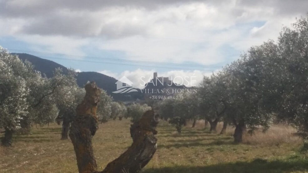 Land in Biar for sale - Building Photo - Image 2 of 9