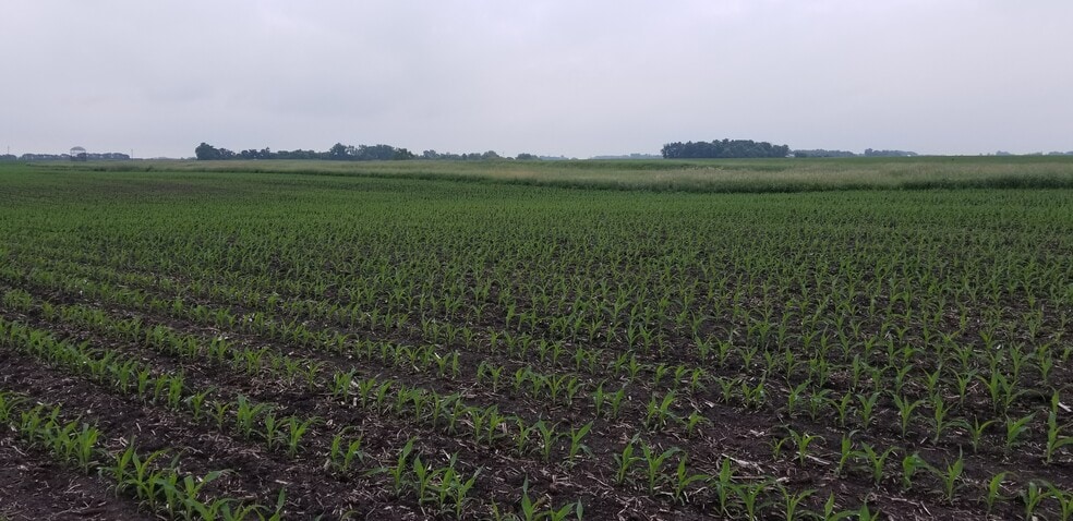 0 330th Ave 0 330th Ave, Westbrook, MN for sale - Other - Image 3 of 3