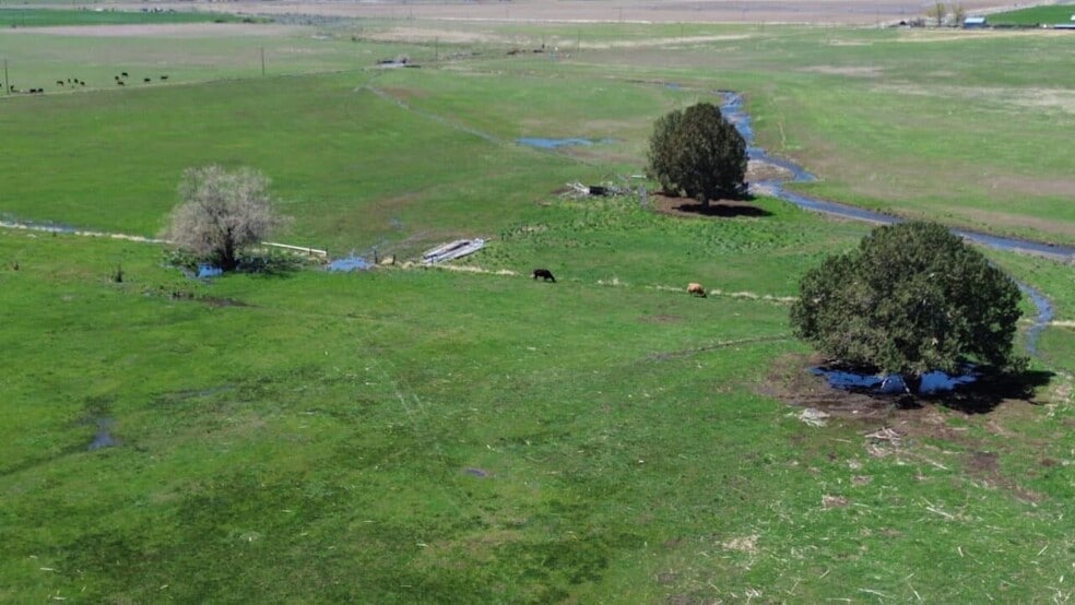 500 Co 22 Rd, Cedarville, CA for sale - Building Photo - Image 3 of 43