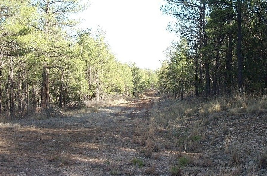 Salmon Dr, Timberon, NM 88350