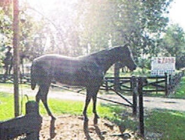 3023 Miller Rd, Rosharon, TX for sale Primary Photo- Image 1 of 1