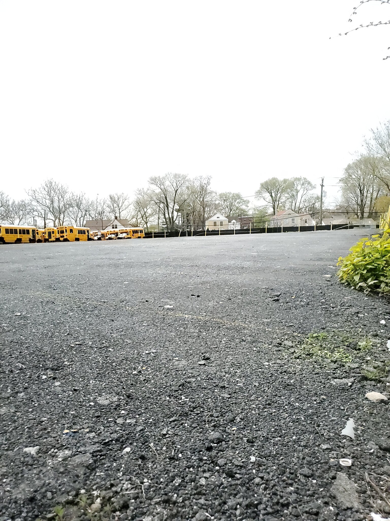 406 Zerega Ave, Bronx, NY for sale Other- Image 1 of 1