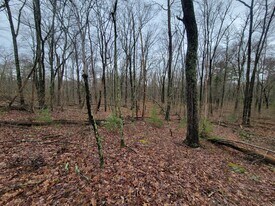 6 Acres - PA 739 - Duplex Property