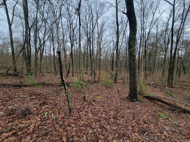 Pennsylvania 739, Dingmans Ferry, PA for sale - Primary Photo - Image 1 of 8