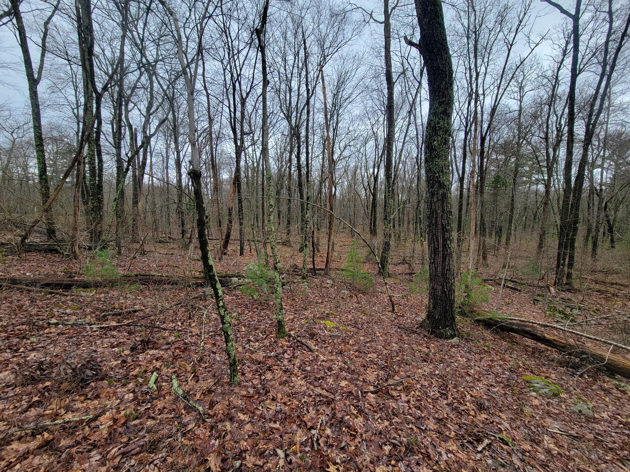 Pennsylvania 739, Dingmans Ferry, PA for sale Primary Photo- Image 1 of 9