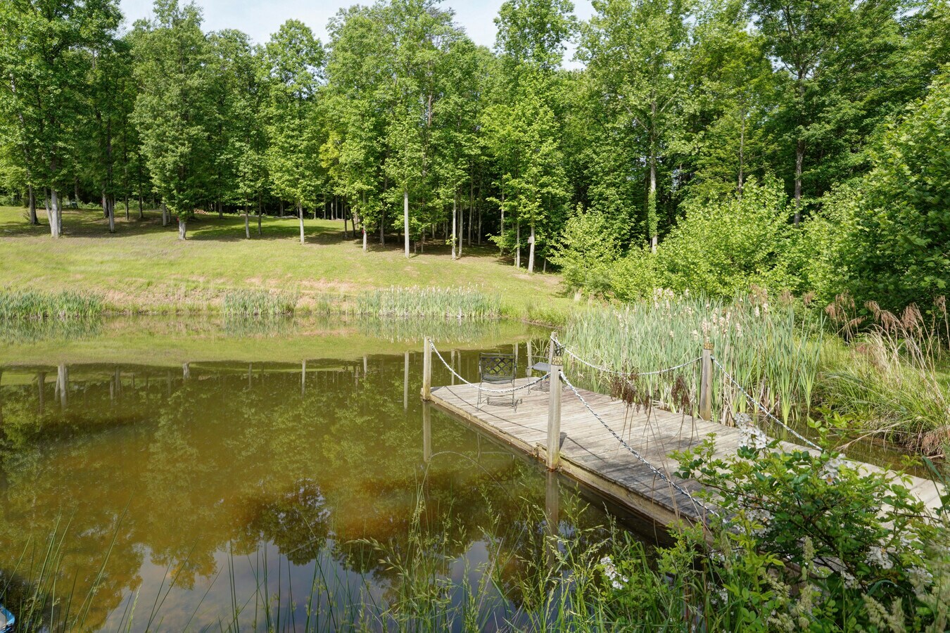 View Photo