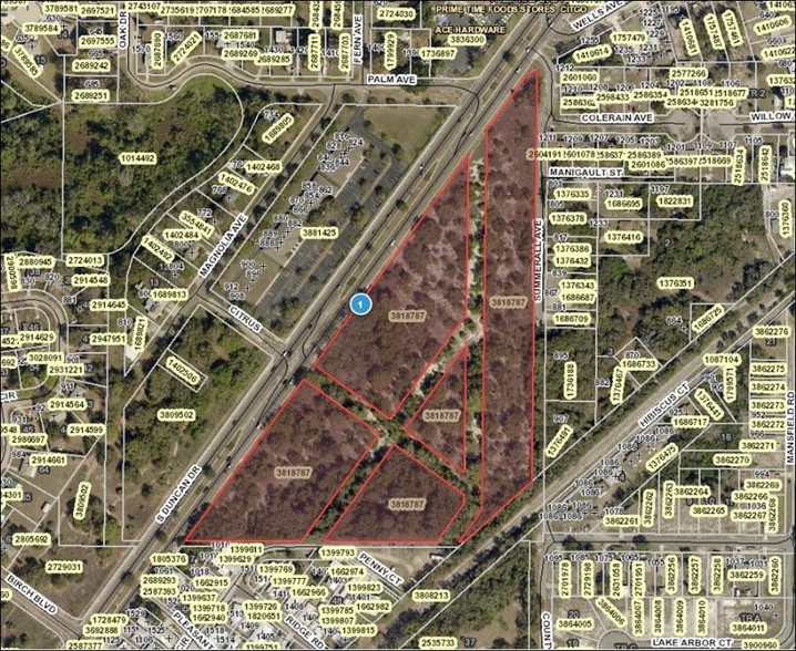 SR19 & Summerall Ave, Tavares, FL for sale - Aerial - Image 1 of 4