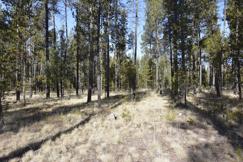 56790 Nest Pine Dr, Bend, OR for sale Other- Image 1 of 1