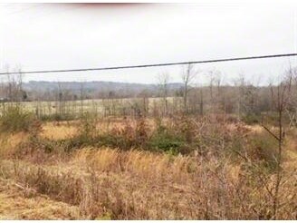 S Hwy 69, Cullman, AL for sale Primary Photo- Image 1 of 1