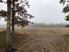 50 Acres, Rt. 55 and Rt. 40, Franklin Twp. - Convenience Store