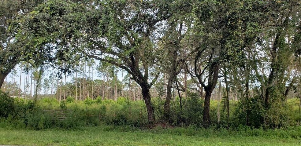 Treiman Blvd, Dade City, FL for sale - Other - Image 1 of 1