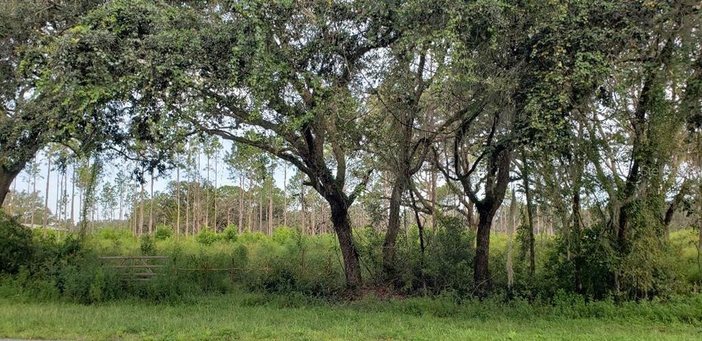 Treiman Blvd, Dade City, FL for sale Other- Image 1 of 1