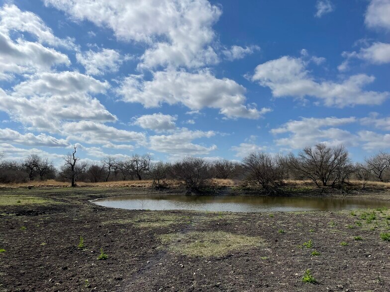 328 CR 412, Three Rivers, TX 78071