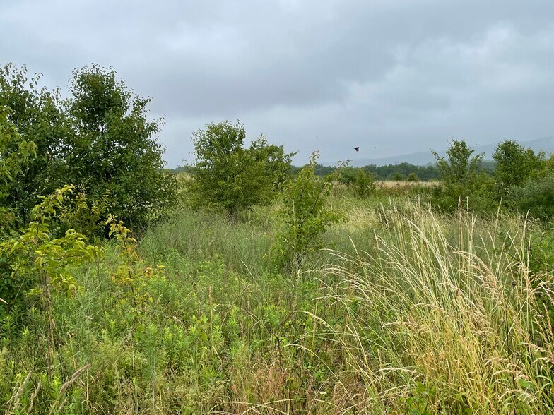 1214 Clearview Rd, Coplay, PA for sale - Primary Photo - Image 1 of 15