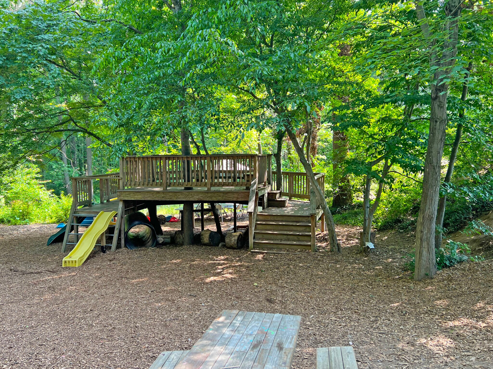 3215 Powder Mill Rd, Adelphi, MD 20783 Specialty for Sale