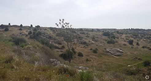 Camino Lavanderas Polígono 59, 5, Colmenar Viejo, Madrid for sale Primary Photo- Image 1 of 1