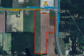 More details for Baldwin Beach Expressway, Robertsdale, AL - Land for Sale