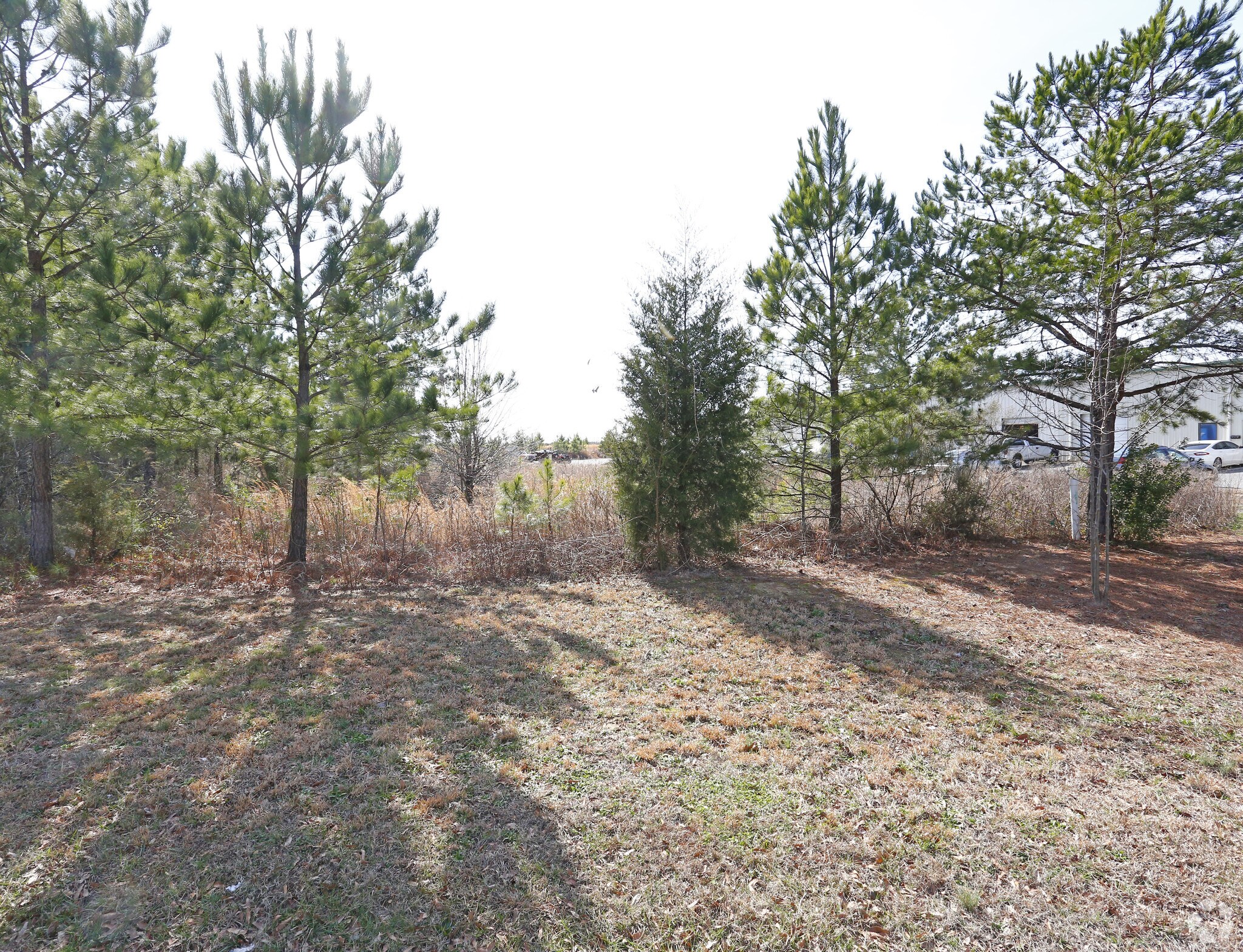 3840 Matthews Indian Trail Rd, Matthews, NC for sale Primary Photo- Image 1 of 1