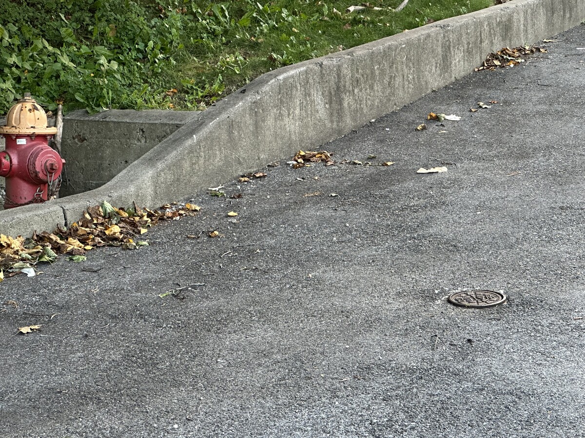 View Photo