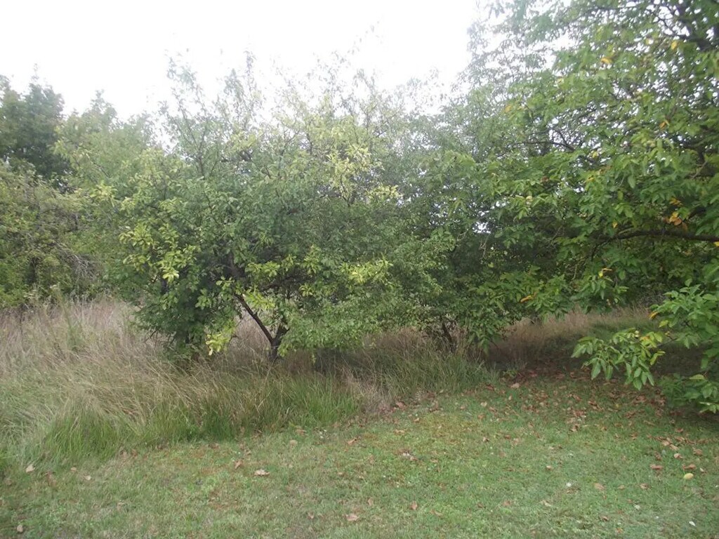 Vente Terrain 2 378 m² - Photo 1