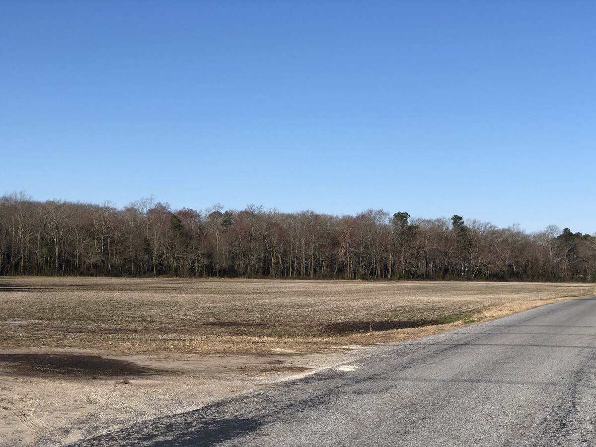 Dupont Blvd, Selbyville, DE 19975 Land for Sale