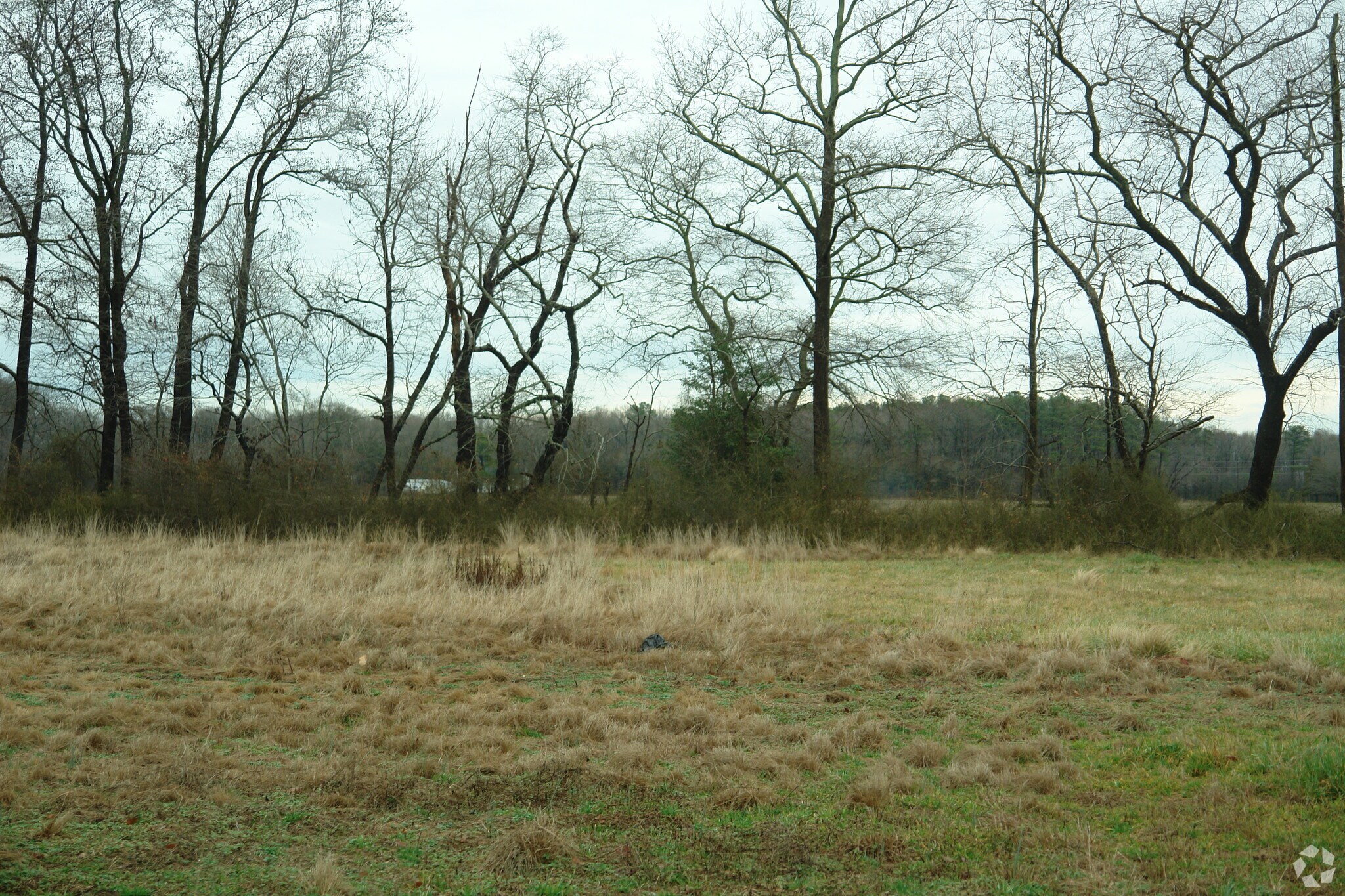 32535 S Dupont Blvd, Dagsboro, DE for sale Primary Photo- Image 1 of 1