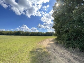 More details for County 21 & Bell Grayson Road hwy, Demopolis, AL - Land for Sale