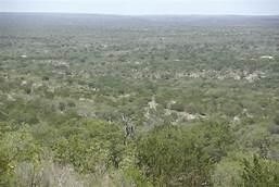 00 Hwy 90, Brackettville, TX for sale - Primary Photo - Image 1 of 1