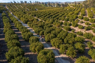 Rustic Valley Farms - Golf Course