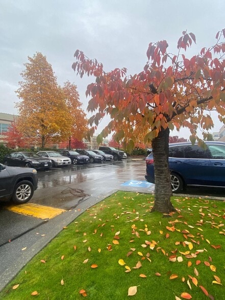 12992 76th Ave, Surrey, BC for lease - Building Photo - Image 3 of 9