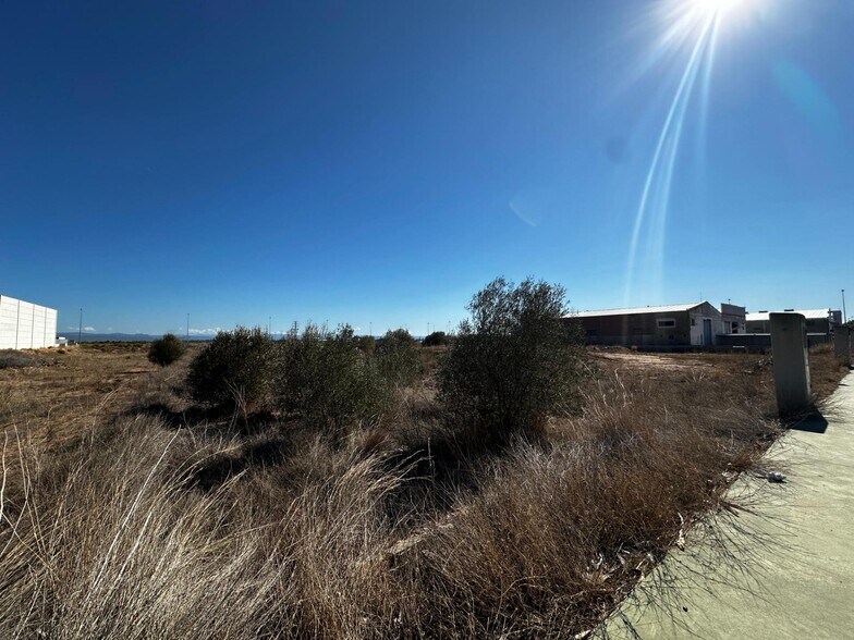 Creu Negra, Carlet, Poligono, S/N, Carlet, Valencia for sale - Building Photo - Image 3 of 5