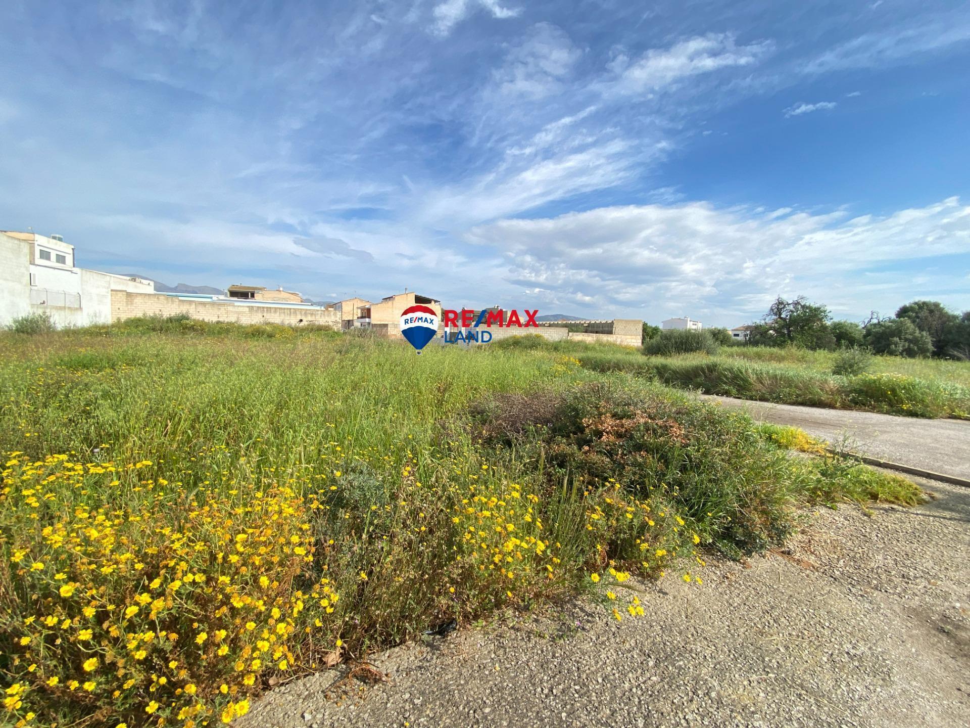 Land in Sa Pobla, Islas Baleares for sale Building Photo- Image 1 of 7