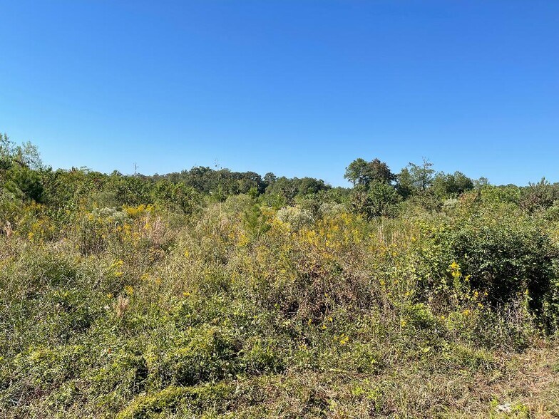 18556 US Highway 59, New Caney, TX 77357 Land for Sale