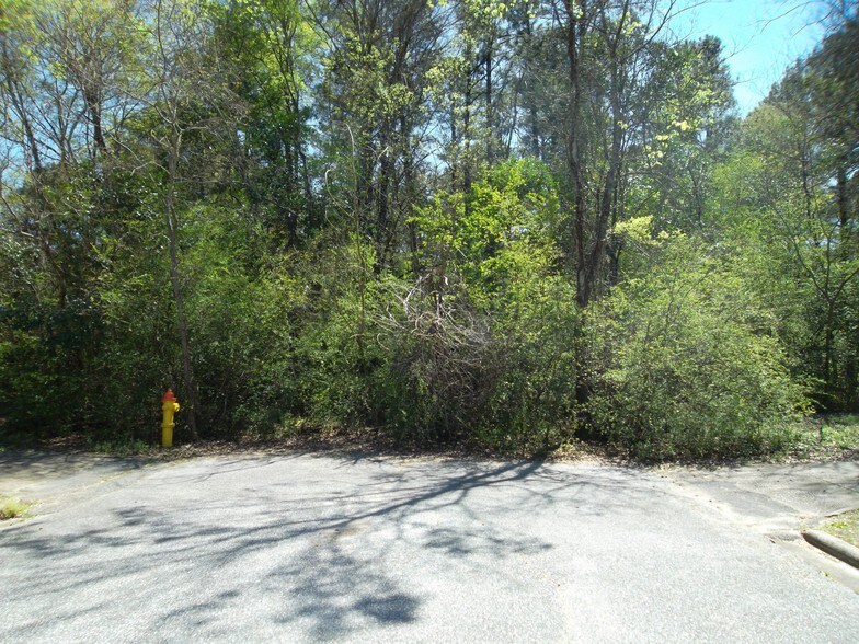 Hillsboro Rd & E Green Dr, Montgomery, AL 36109