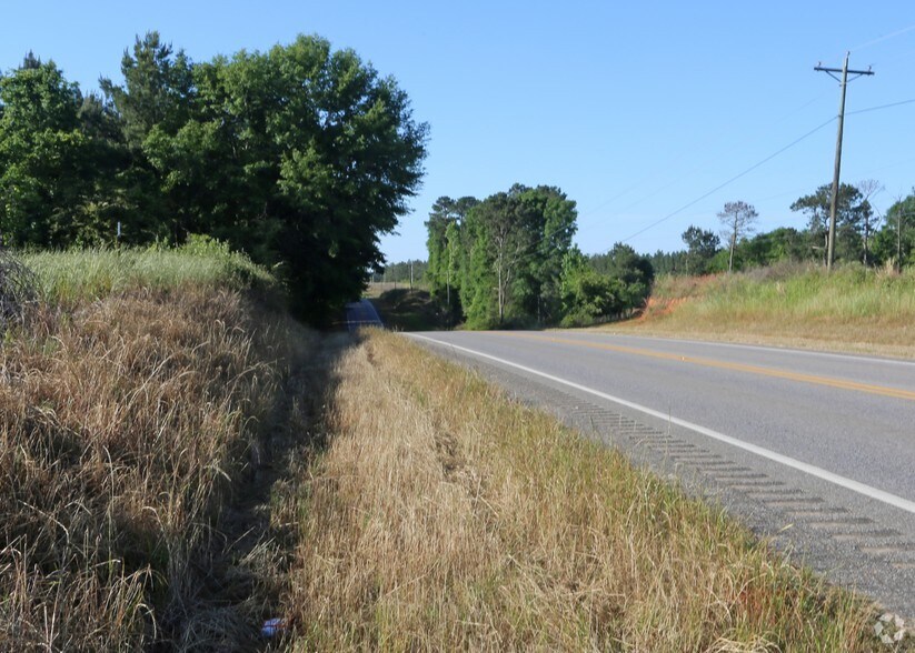 12808 Montgomery Hwy, Luverne, AL for sale - Primary Photo - Image 1 of 1