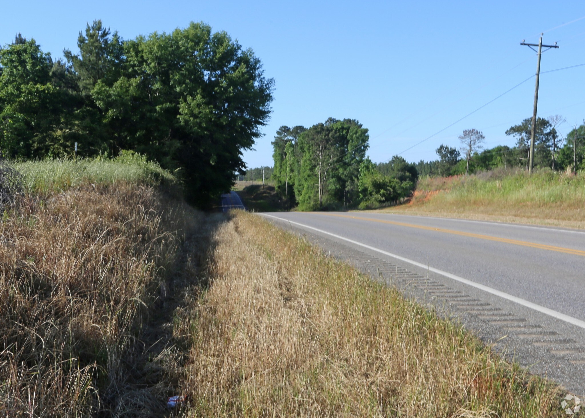 12808 Montgomery Hwy, Luverne, AL for sale Primary Photo- Image 1 of 1