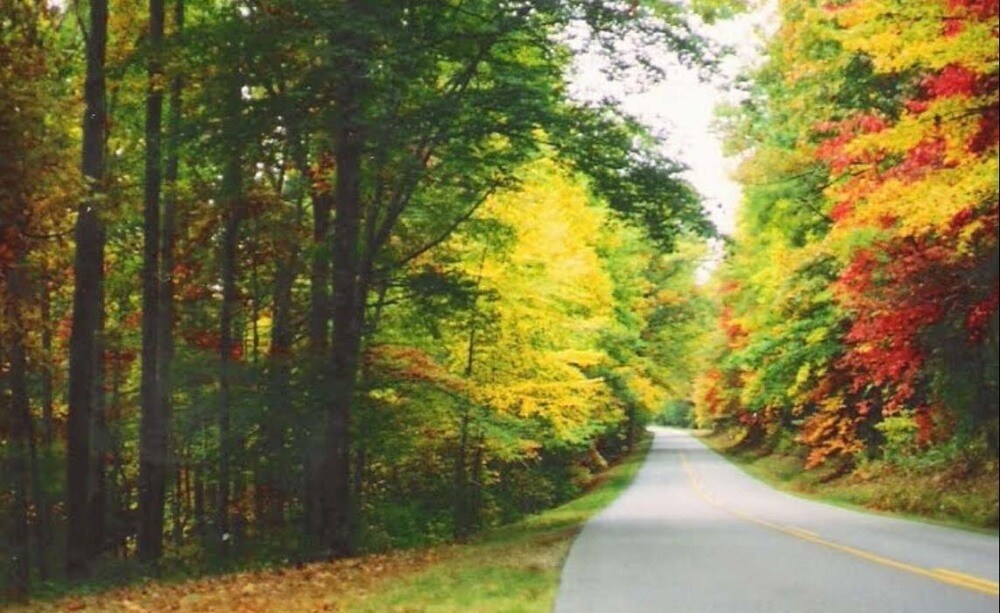 382 Pinners Cove Rd, Asheville, NC 28803